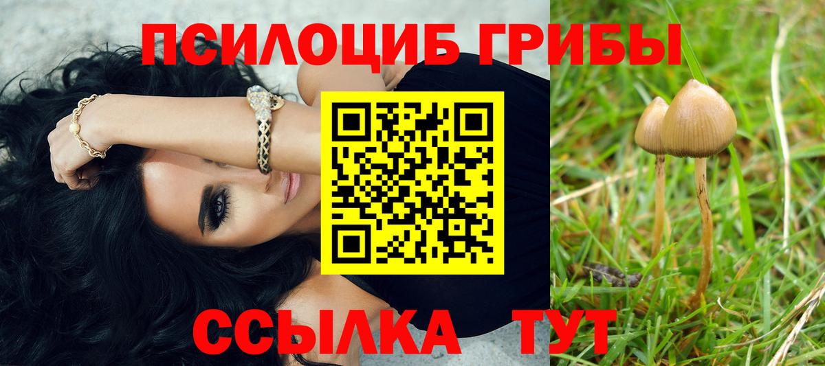 Псилоцибиновые грибы мицелий  Псилоцибиновые грибы мицелий  Вход с VPN  закладки  Снежинск 